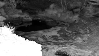 Still 2 from this detection