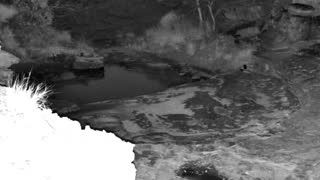 Still 1 from this detection