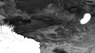 Still 2 from this detection