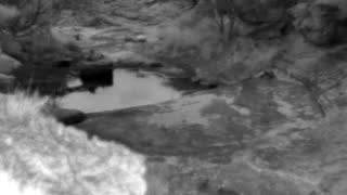 Still 3 from this detection