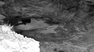 Still 1 from this detection