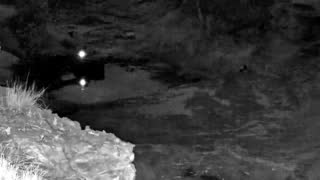 Still 2 from this detection
