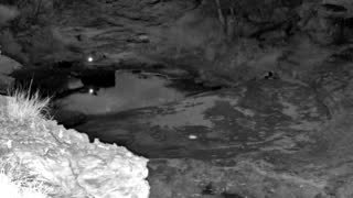Still 3 from this detection