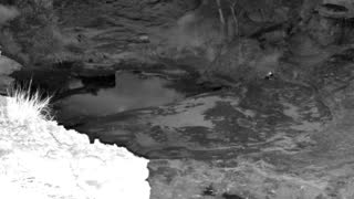 Still 2 from this detection