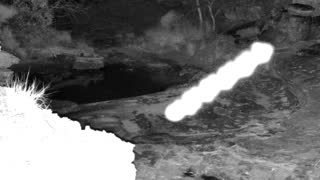 Still 1 from this detection