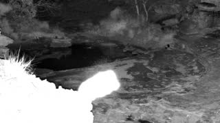 Still 1 from this detection