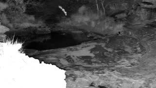 Still 2 from this detection