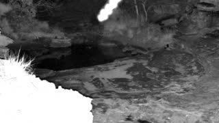 Still 2 from this detection