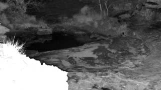 Still 1 from this detection