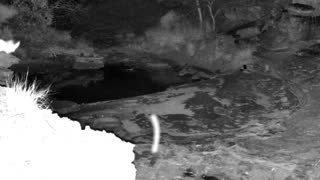 Still 3 from this detection