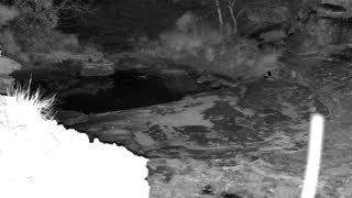 Still 3 from this detection