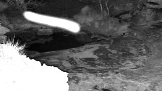 Still 3 from this detection