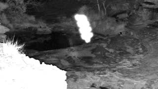 Still 3 from this detection