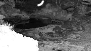 Still 1 from this detection