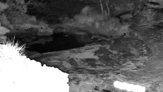 Still 3 from this detection