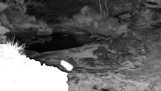 Still 1 from this detection