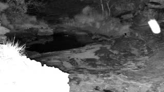 Still 3 from this detection