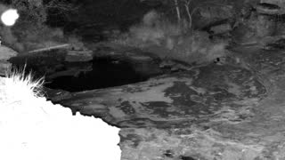 Still 1 from this detection