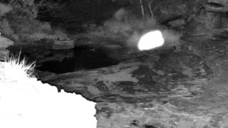 Still 3 from this detection