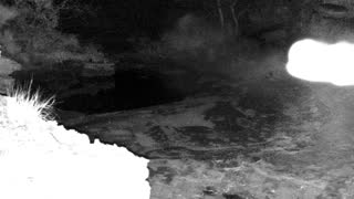 Still 3 from this detection