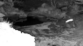 Still 1 from this detection