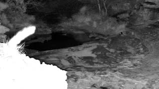 Still 3 from this detection