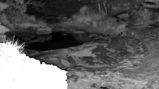 Still 3 from this detection