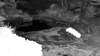 Still 2 from this detection