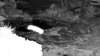 Still 3 from this detection