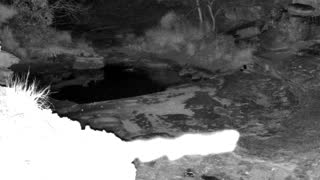 Still 2 from this detection