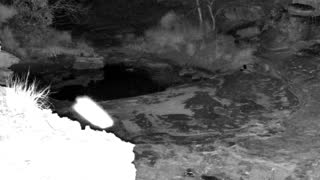 Still 3 from this detection