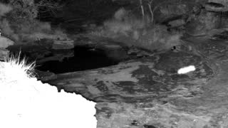 Still 2 from this detection