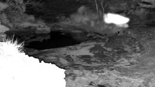Still 2 from this detection