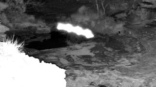 Still 3 from this detection