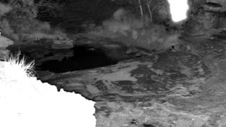 Still 2 from this detection