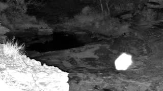 Still 3 from this detection
