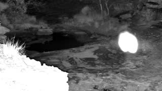 Still 3 from this detection