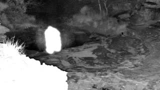 Still 2 from this detection