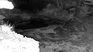 Still 3 from this detection