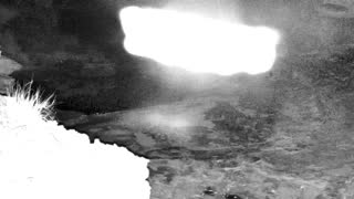 Still 3 from this detection