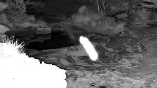 Still 3 from this detection