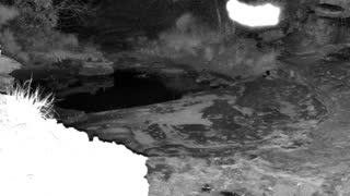 Still 3 from this detection