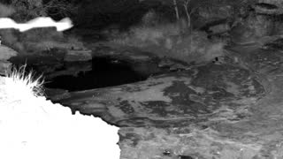 Still 2 from this detection