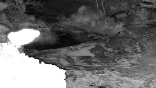Still 1 from this detection