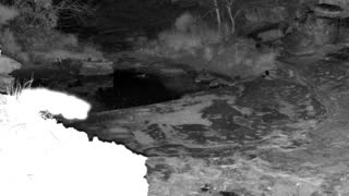 Still 1 from this detection