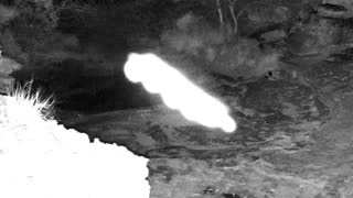 Still 1 from this detection