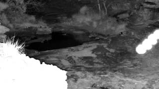 Still 1 from this detection