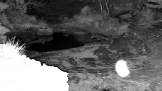 Still 2 from this detection