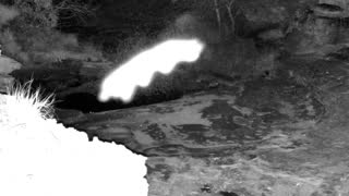 Still 1 from this detection