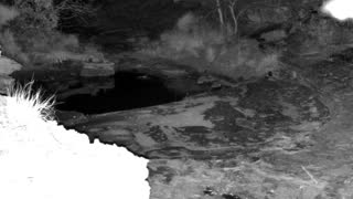 Still 1 from this detection
